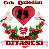 seslichat